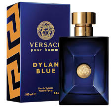 VERSACE POUR HOMME DYLAN BLUE EDT 100ML SPRAY